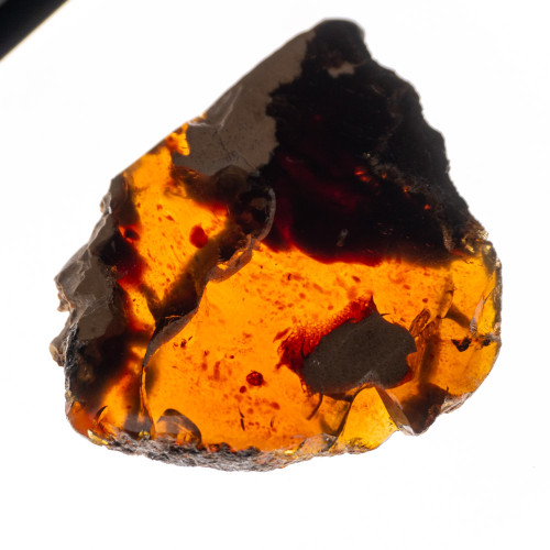 Indonesian Blue Amber Slice #10