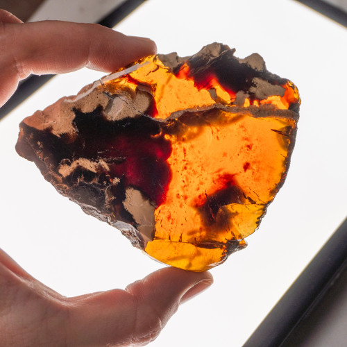 Indonesian Blue Amber Slice #10