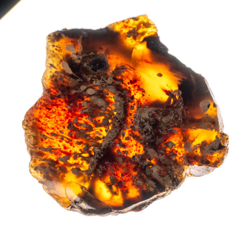 Indonesian Blue Amber Slice #9