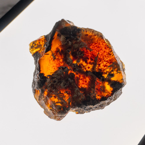 Indonesian Blue Amber Slice #9