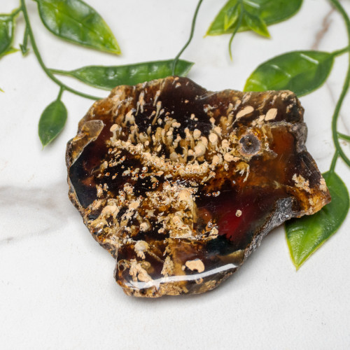 Indonesian Blue Amber Slice #9