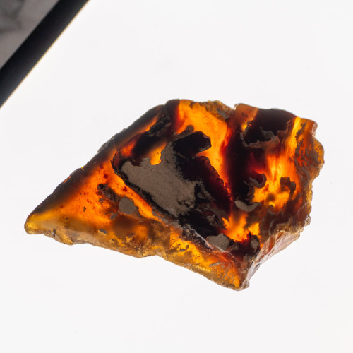 Indonesian Blue Amber Slice #8