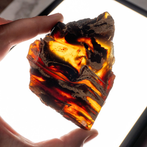 Indonesian Blue Amber Slice #7