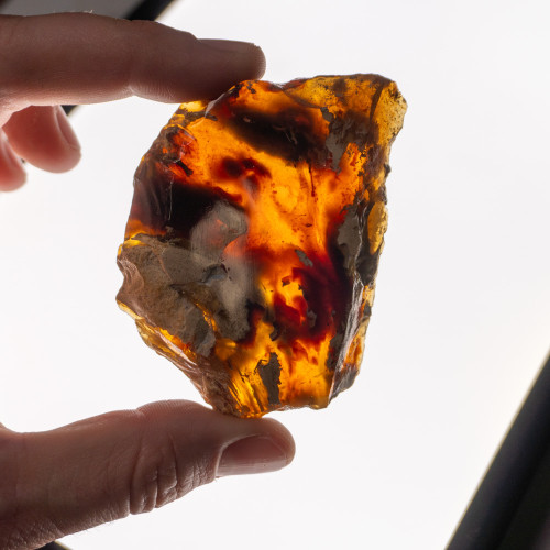 Indonesian Blue Amber Slice #6