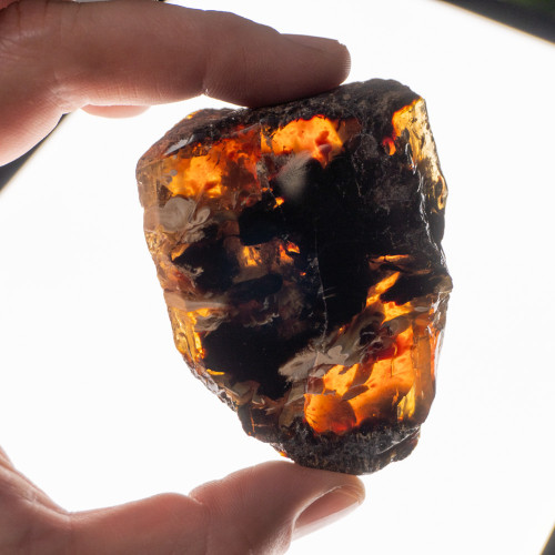 Indonesian Blue Amber Slice #5