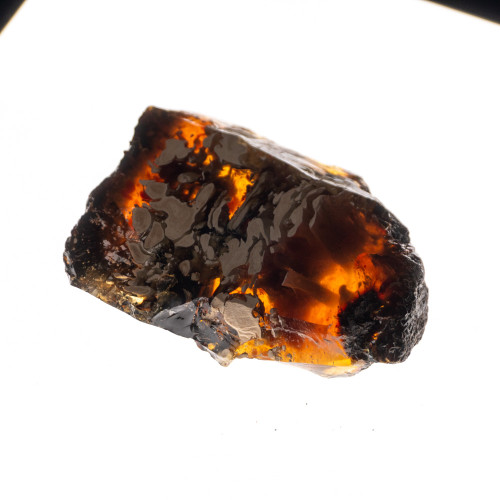 Indonesian Blue Amber Slice #5