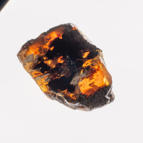 Indonesian Blue Amber Slice #5