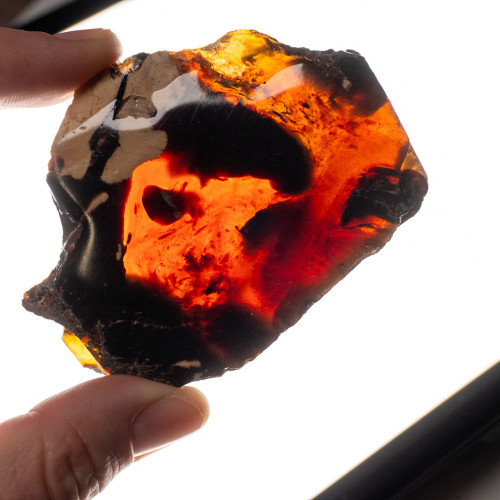 Indonesian Blue Amber Slice #4