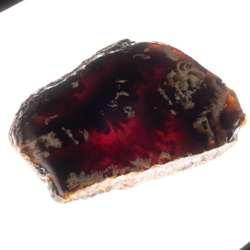 Indonesian Blue Amber Slice #3