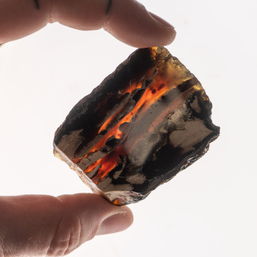 Indonesian Blue Amber Slice #2