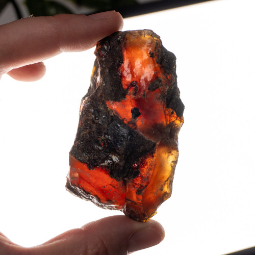 Indonesian Blue Amber Raw #8