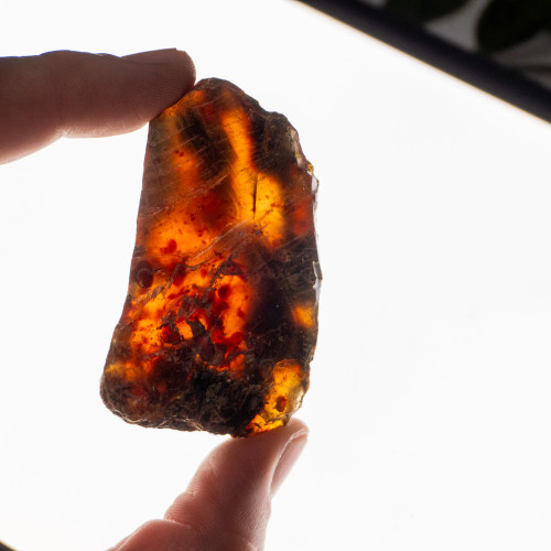 Indonesian Blue Amber Raw #6