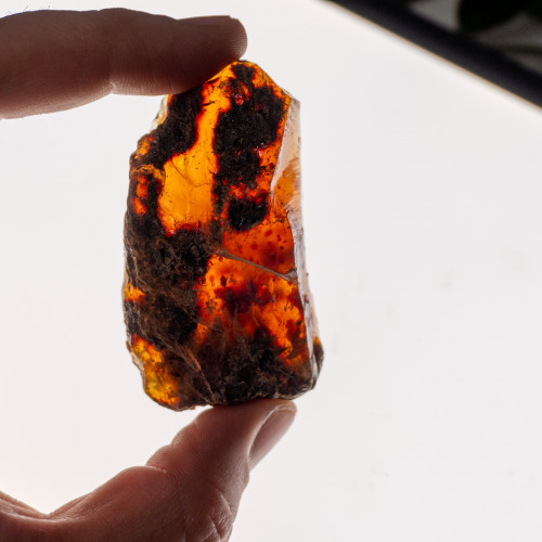 Indonesian Blue Amber Raw #6