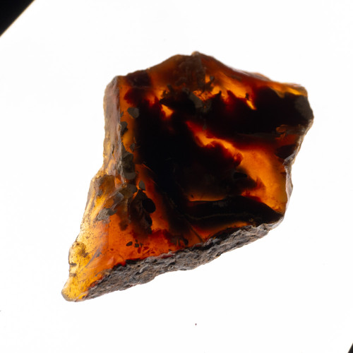 Indonesian Blue Amber Slice #8