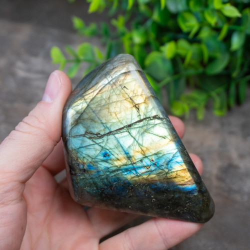 Labradorite Freeform #8