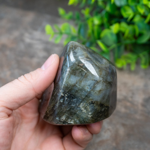 Labradorite Freeform #8