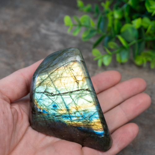 Labradorite Freeform #8