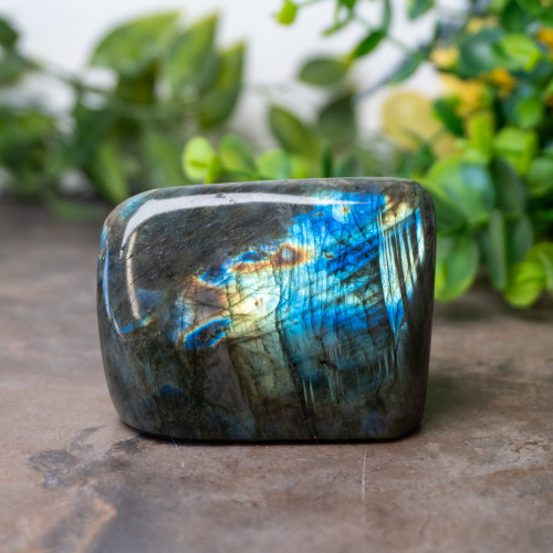 Labradorite Freeform #6