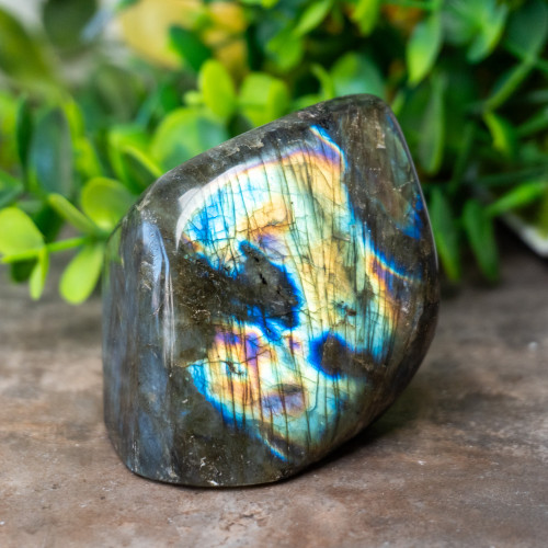 Labradorite Freeform #3