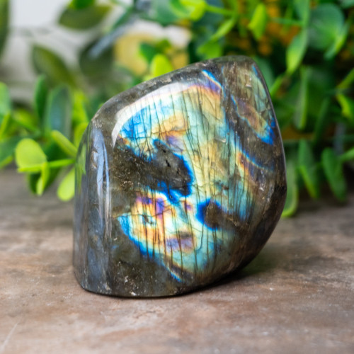 Labradorite Freeform #3