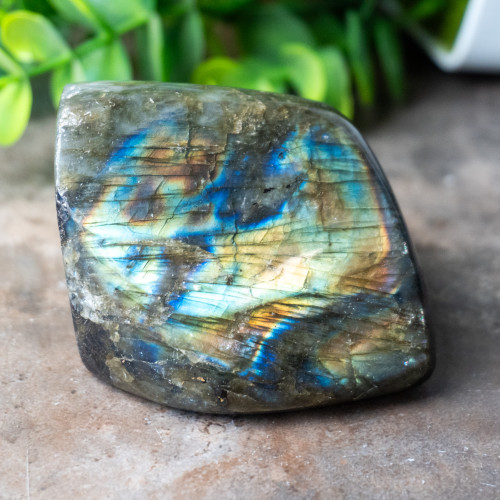 Labradorite Freeform #3