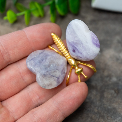 Fluorite Butterfly #8