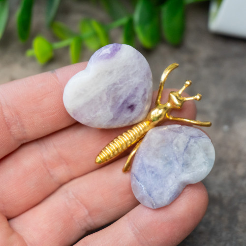 Fluorite Butterfly #8