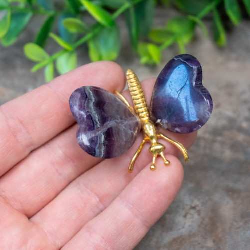 Fluorite Butterfly #7