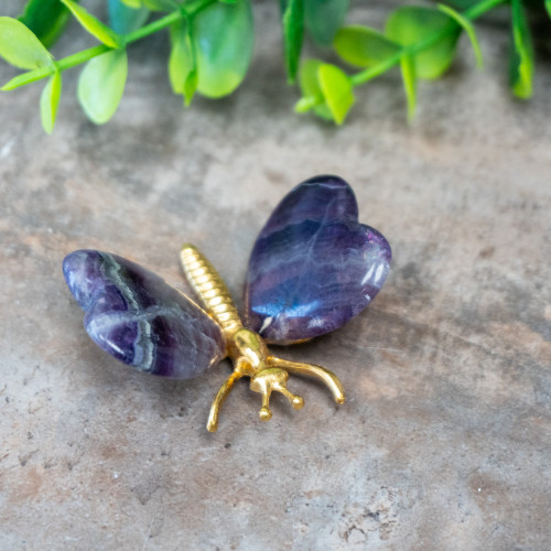 Fluorite Butterfly #7