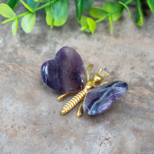 Fluorite Butterfly #7