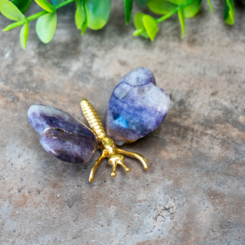 Fluorite Butterfly #6