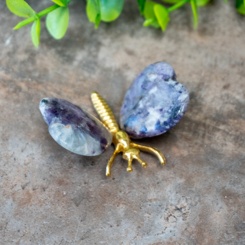 Fluorite Butterfly #5