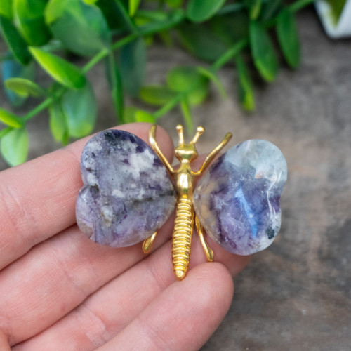 Fluorite Butterfly #5