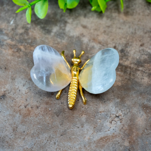 Fluorite Butterfly #4