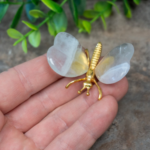 Fluorite Butterfly #4