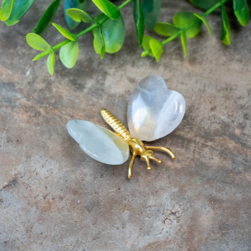 Fluorite Butterfly #4