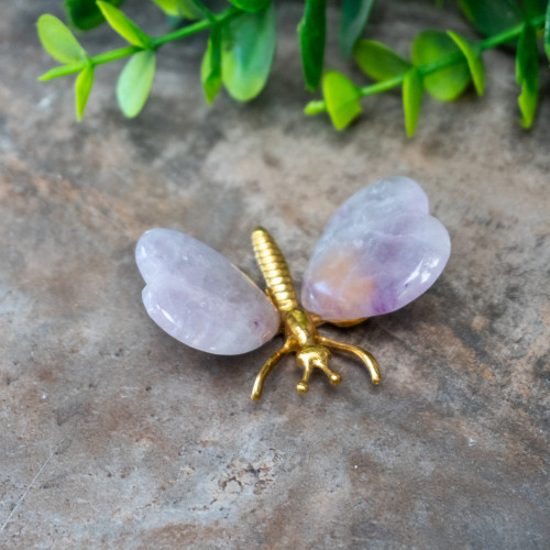 Fluorite Butterfly #2