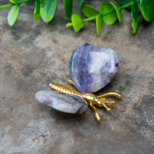 Fluorite Butterfly #1