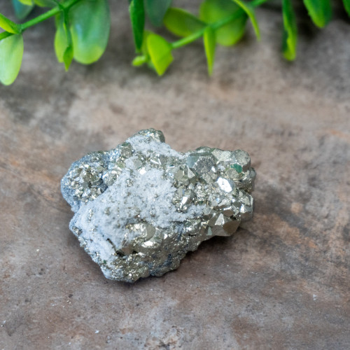 Pyrite #6