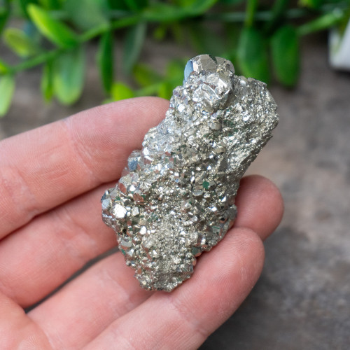Pyrite #4