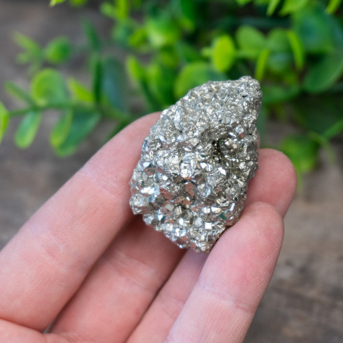 Pyrite #3