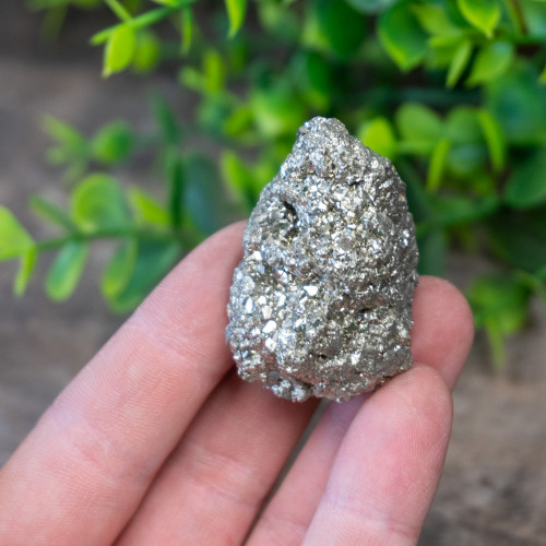 Pyrite #3