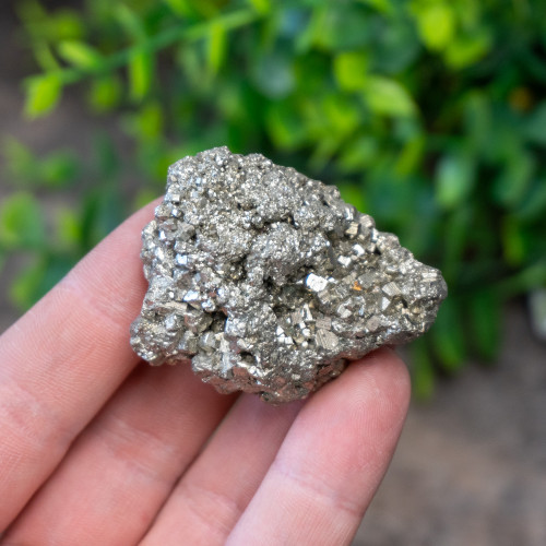 Pyrite #2