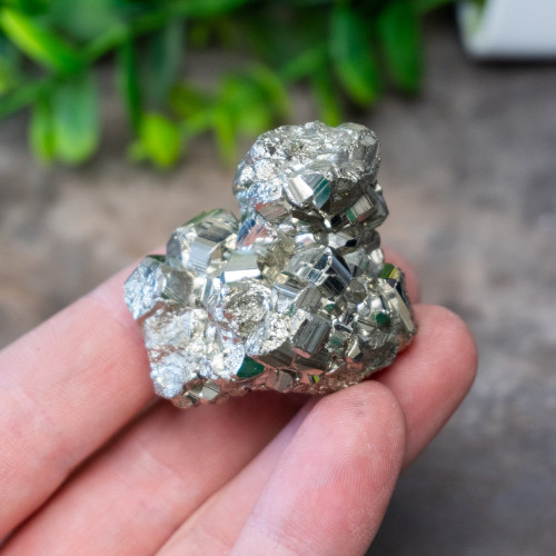 Pyrite #1