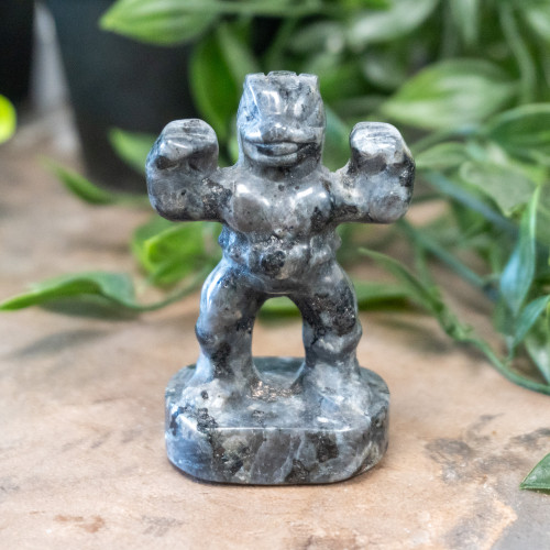 Larvikite Machoke