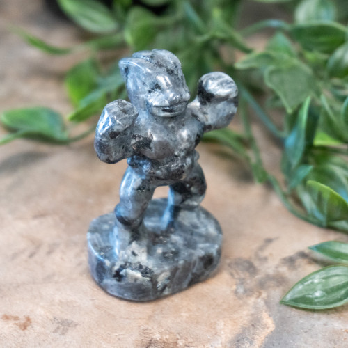 Larvikite Machoke