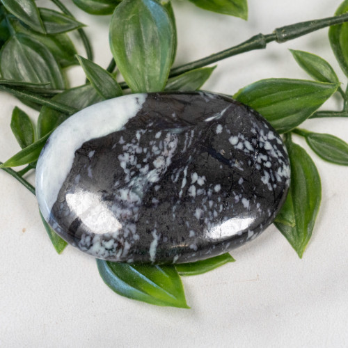 Kammererite Palmstone #1