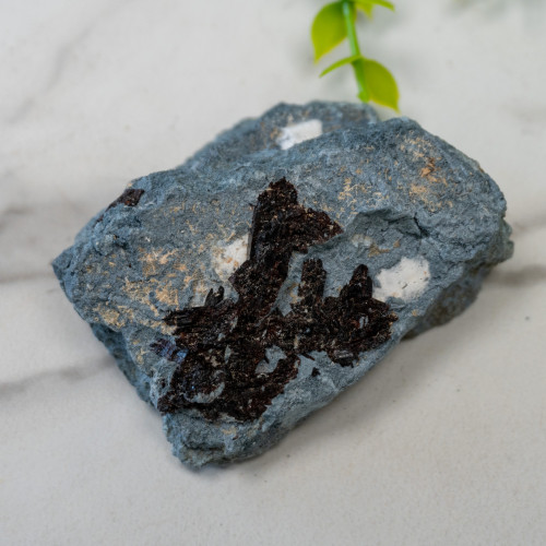 Neptunite on Natrolite #1