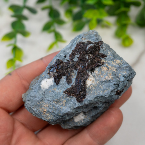 Neptunite on Natrolite #1