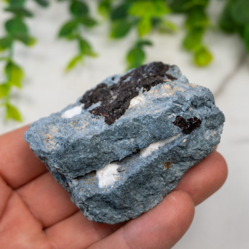 Neptunite on Natrolite #1